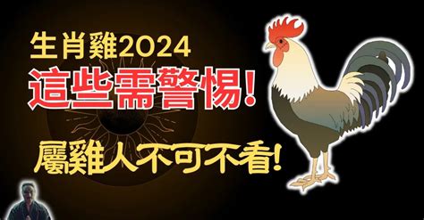 1981屬雞運勢|【1981 雞】1981 雞年運勢大揭密：五行、大運及 2024 年運程！